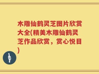 木雕仙鹤灵芝图片欣赏大全(精美木雕仙鹤灵芝作品欣赏，赏心悦目)