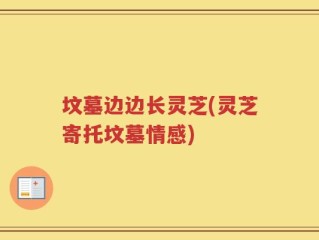 坟墓边边长灵芝(灵芝寄托坟墓情感)
