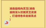 湖南益阳向灵芝(湖南益阳深入挖掘灵芝资源，打造特色农业新亮点)