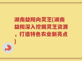 湖南益阳向灵芝(湖南益阳深入挖掘灵芝资源，打造特色农业新亮点)