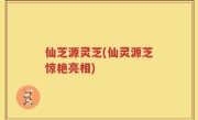 仙芝源灵芝(仙灵源芝惊艳亮相)