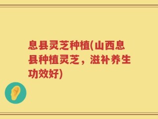 息县灵芝种植(山西息县种植灵芝，滋补养生功效好)