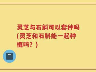 灵芝与石斛可以套种吗(灵芝和石斛能一起种植吗？)