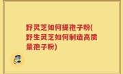 野灵芝如何提孢子粉(野生灵芝如何制造高质量孢子粉)