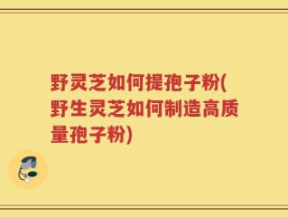 野灵芝如何提孢子粉(野生灵芝如何制造高质量孢子粉)
