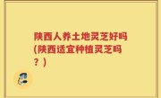 陕西人养土地灵芝好吗(陕西适宜种植灵芝吗？)