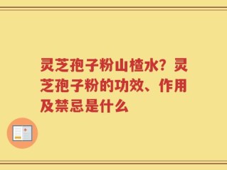 灵芝孢子粉山楂水？灵芝孢子粉的功效、作用及禁忌是什么