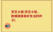 灵芝小楚(灵芝小楚，散播健康美好生活的种子)