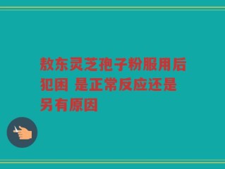 敖东灵芝孢子粉服用后犯困 是正常反应还是另有原因