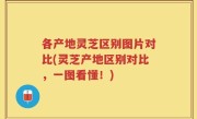 各产地灵芝区别图片对比(灵芝产地区别对比，一图看懂！)