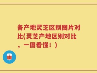各产地灵芝区别图片对比(灵芝产地区别对比，一图看懂！)