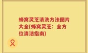 蜂窝灵芝清洗方法图片大全(蜂窝灵芝：全方位清洁指南)