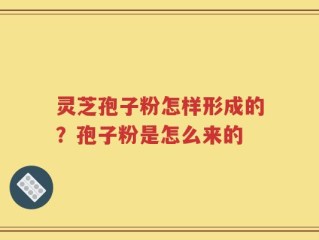 灵芝孢子粉怎样形成的？孢子粉是怎么来的
