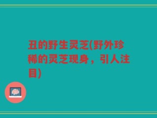 丑的野生灵芝(野外珍稀的灵芝现身，引人注目)