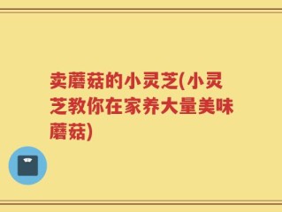 卖蘑菇的小灵芝(小灵芝教你在家养大量美味蘑菇)