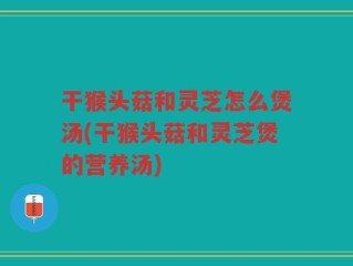 干猴头菇和灵芝怎么煲汤(干猴头菇和灵芝煲的营养汤)