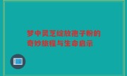 梦中灵芝绽放孢子粉的奇妙旅程与生命启示
