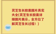 灵芝生长胶囊图片真实大全(灵芝生长胶囊详细图片展示，全方位了解灵芝生长过程！)