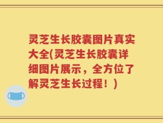 灵芝生长胶囊图片真实大全(灵芝生长胶囊详细图片展示，全方位了解灵芝生长过程！)