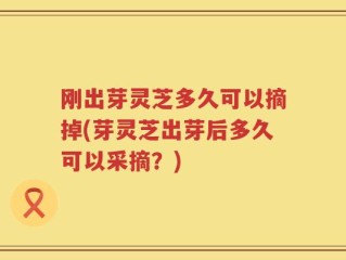 刚出芽灵芝多久可以摘掉(芽灵芝出芽后多久可以采摘？)