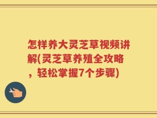 怎样养大灵芝草视频讲解(灵芝草养殖全攻略，轻松掌握7个步骤)