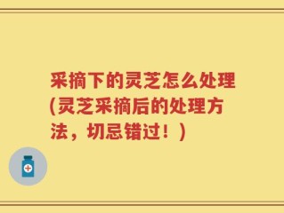 采摘下的灵芝怎么处理(灵芝采摘后的处理方法，切忌错过！)