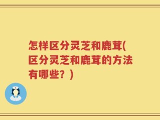 怎样区分灵芝和鹿茸(区分灵芝和鹿茸的方法有哪些？)