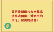 灵芝香烟图片大全集高清高清图集：香烟中的灵芝，完美的结合)