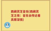 西藏灵芝音乐(西藏灵芝之夜：音乐会传达着高原深情)