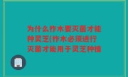 为什么柞木要灭菌才能种灵芝(柞木必须进行灭菌才能用于灵芝种植