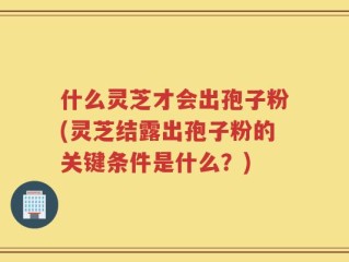 什么灵芝才会出孢子粉(灵芝结露出孢子粉的关键条件是什么？)