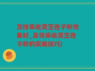 怎样采收灵芝孢子粉效果好_高效采收灵芝孢子粉的实用技巧)