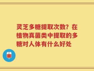 灵芝多糖提取次数？在植物真菌类中提取的多糖对人体有什么好处