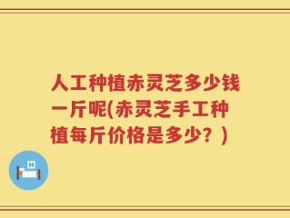 人工种植赤灵芝多少钱一斤呢(赤灵芝手工种植每斤价格是多少？)