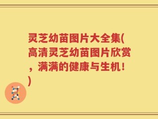 灵芝幼苗图片大全集(高清灵芝幼苗图片欣赏，满满的健康与生机！)