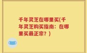 千年灵芝在哪里买(千年灵芝购买指南：在哪里买最正宗？)