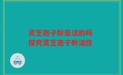 灵芝孢子粉是活的吗 探究灵芝孢子粉活性