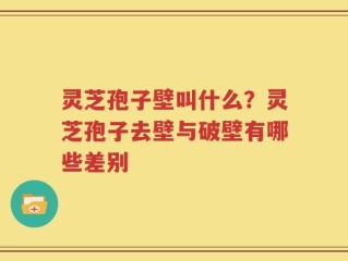 灵芝孢子壁叫什么？灵芝孢子去壁与破壁有哪些差别