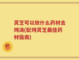 灵芝可以放什么药材去炖汤(配炖灵芝最佳药材指南)