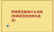 桦褐灵芝都有什么功效(桦褐灵芝的功效大盘点)