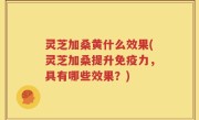 灵芝加桑黄什么效果(灵芝加桑提升免疫力，具有哪些效果？)