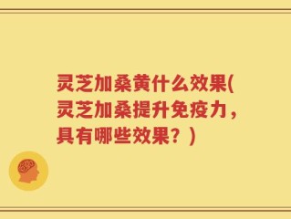 灵芝加桑黄什么效果(灵芝加桑提升免疫力，具有哪些效果？)