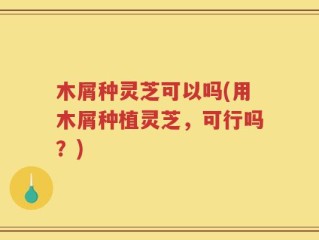 木屑种灵芝可以吗(用木屑种植灵芝，可行吗？)
