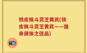铁皮枫斗灵芝黄芪(铁皮枫斗灵芝黄芪——强身健体之佳品)