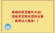 美丽的灵芝图片大全(惊艳灵芝照片壁纸合集，美得让人窒息！)