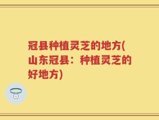 冠县种植灵芝的地方(山东冠县：种植灵芝的好地方)