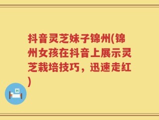抖音灵芝妹子锦州(锦州女孩在抖音上展示灵芝栽培技巧，迅速走红)