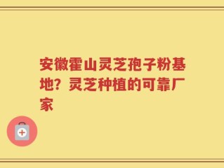 安徽霍山灵芝孢子粉基地？灵芝种植的可靠厂家