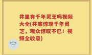 井里有千年灵芝吗视频大全(井底惊现千年灵芝，观众惊叹不已！视频全收录)