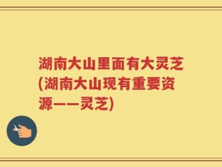 湖南大山里面有大灵芝(湖南大山现有重要资源——灵芝)